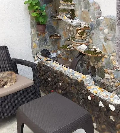 Casa De Vacanta Bucuria Marii Constanţa